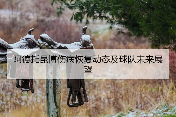 阿德托昆博伤病恢复动态及球队未来展望