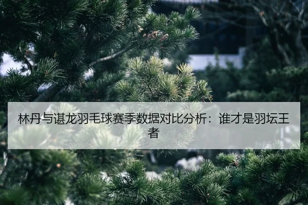 lin-dan-yu-chen-long-yu-mao-qiu-sai-ji-shu-ju-dui-bi-fen-xi-shui-cai-shi-yu-tan-wang-zhe-2-447.jpg
